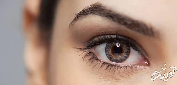 شخصیت شناسی زبان بدن 